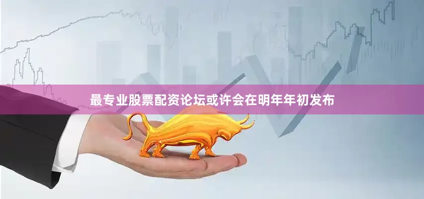 最专业股票配资论坛或许会在明年年初发布