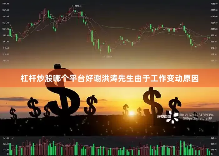 杠杆炒股哪个平台好谢洪涛先生由于工作变动原因